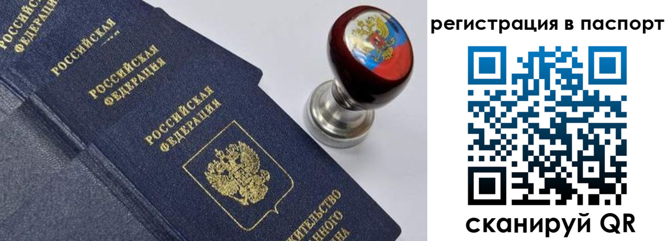 прописка поиск в Торопеце