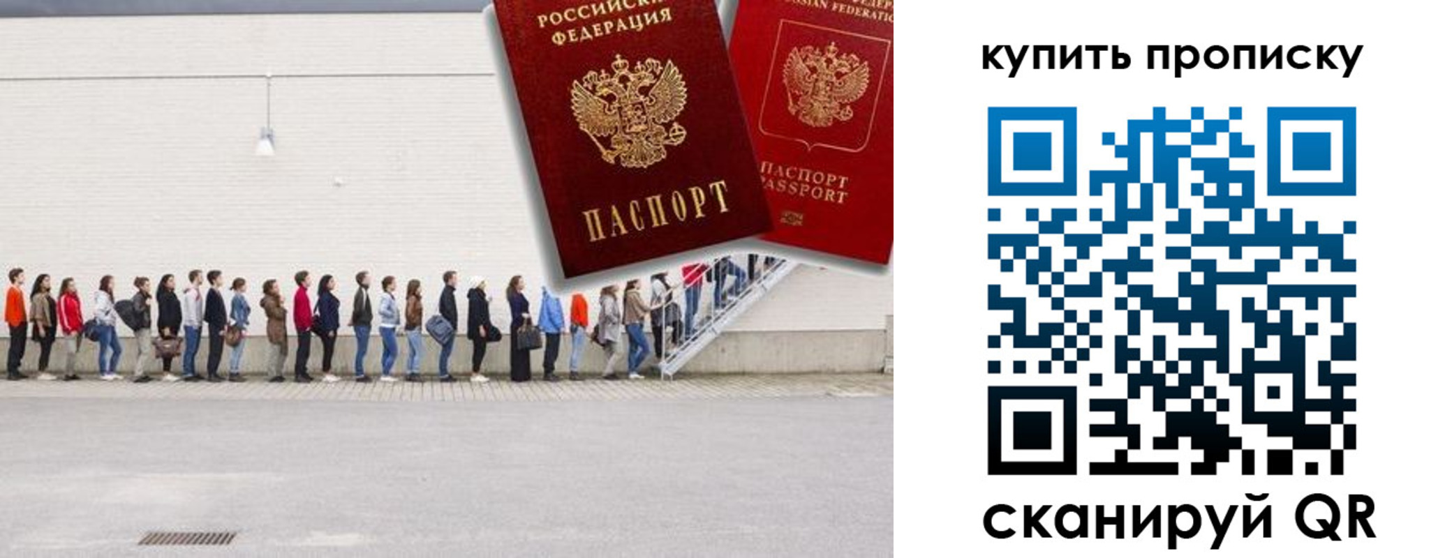 прописка штамп в Торопеце